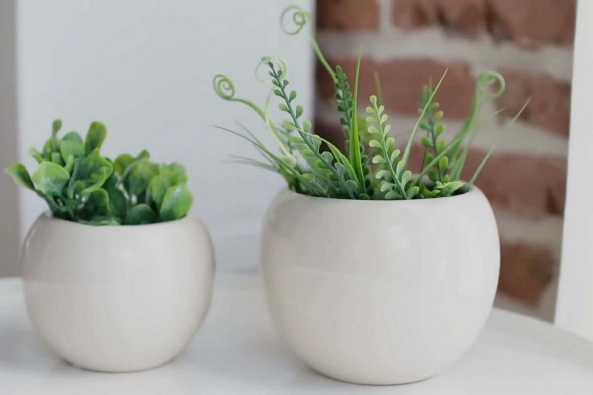 Dekorativne sobne biljke u neutralnim saksijama u boho enterijeru